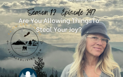 Mountain Woman Radio Episode 247 Are You Allowing Things To Steal Your Joy?