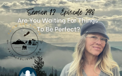 Mountain Woman Radio Episode 248 Are You Waiting For Things To Be Perfect?